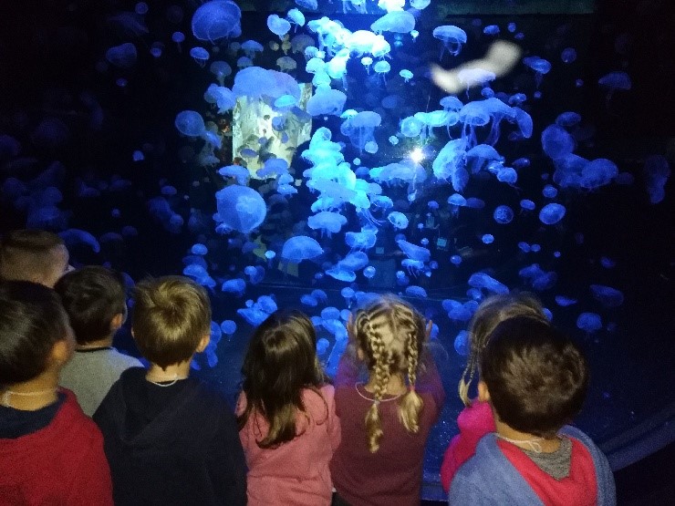 Aquarium