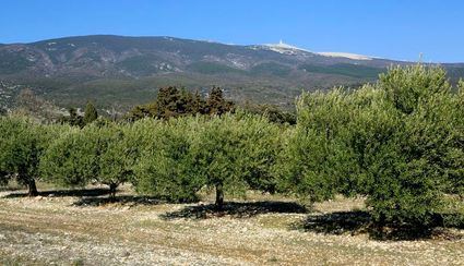 Ventoux 1 