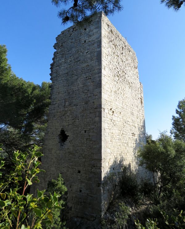 Chsegur 3 
