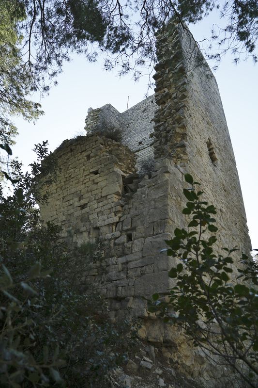 Chsegur 4 