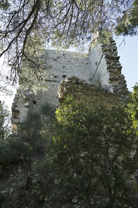 Chsegur 5 