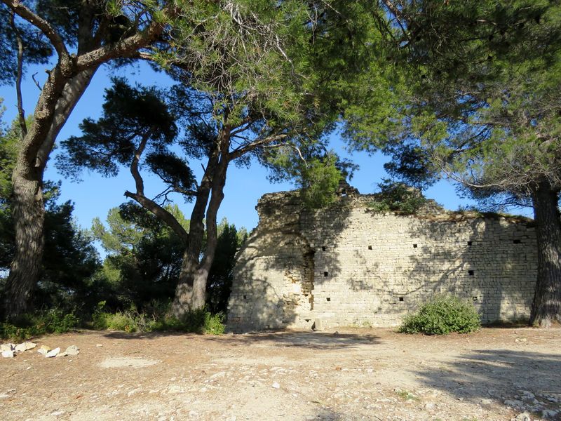 Chsegur 6 