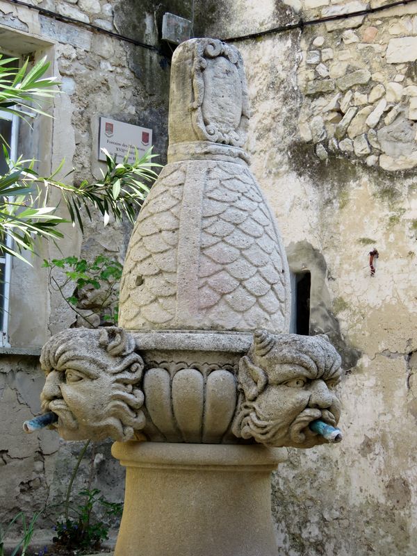 Seguret 5 