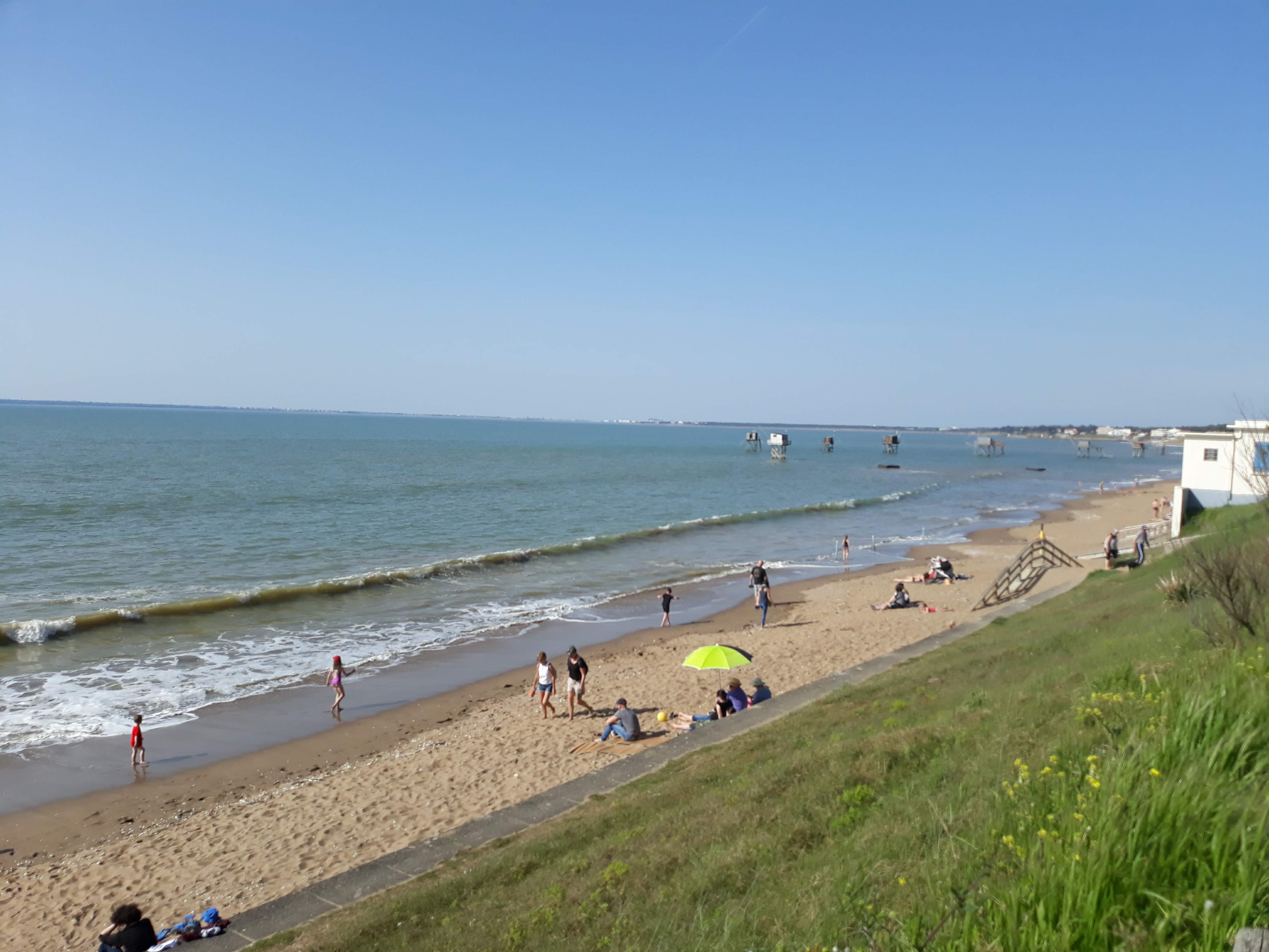 Tharon avril 2019 1 