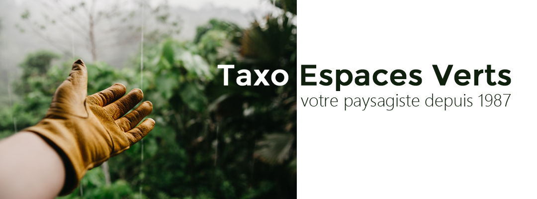 Titre taxo