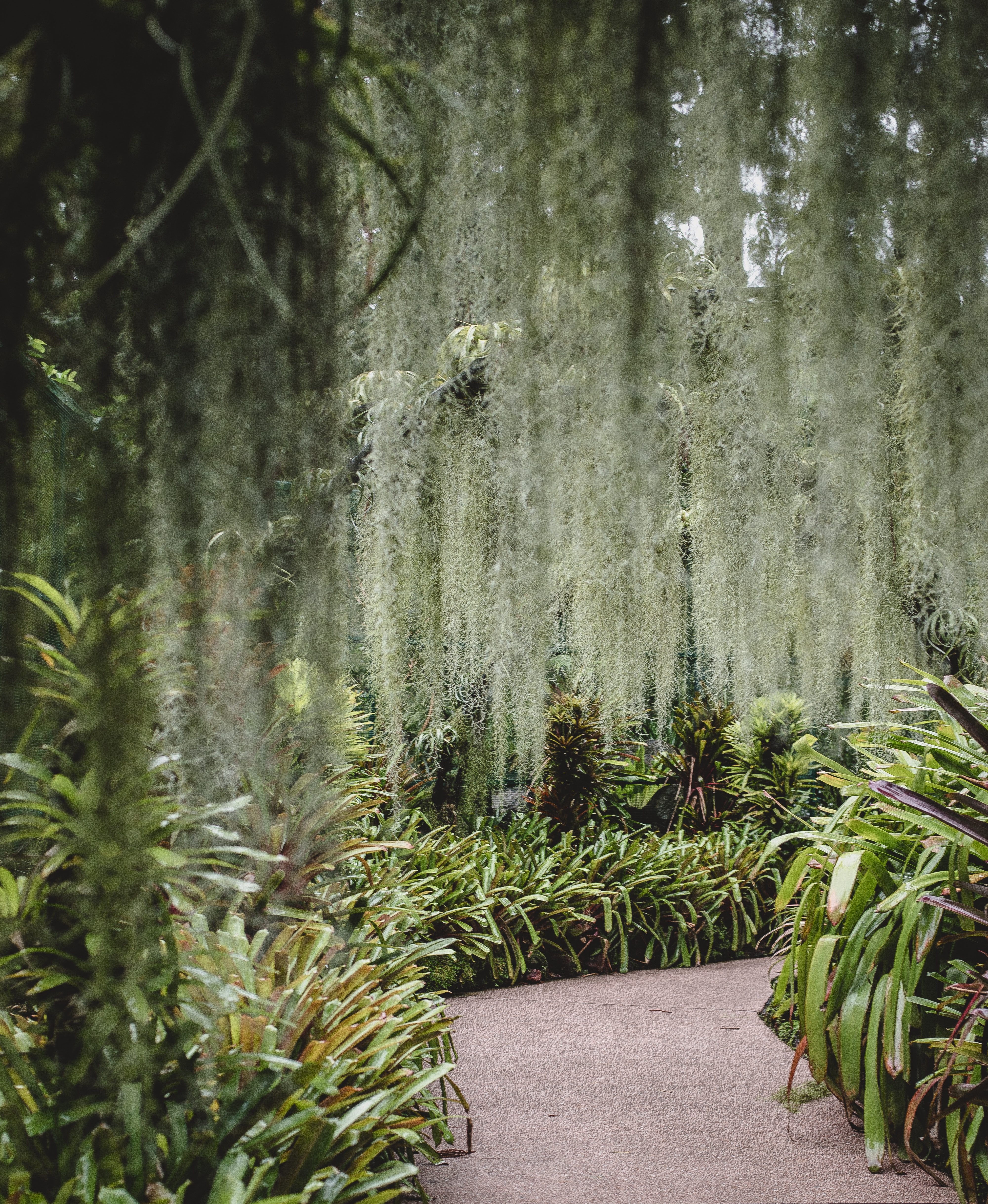 Annie spratt 173411 unsplash