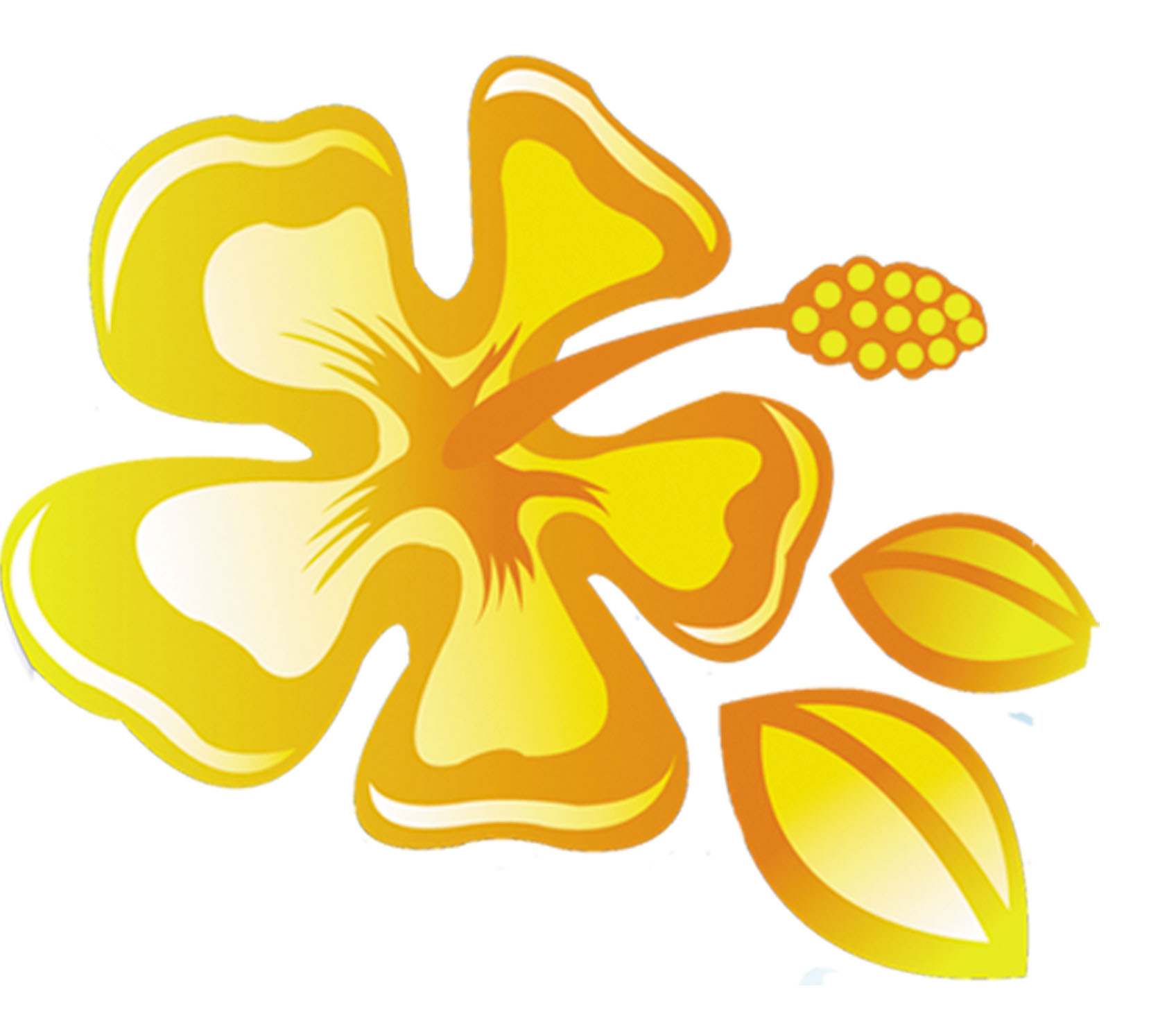 Fleur jaune