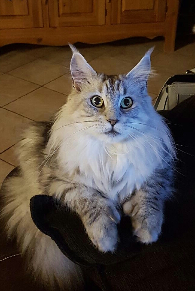 Mylésia 2 ans