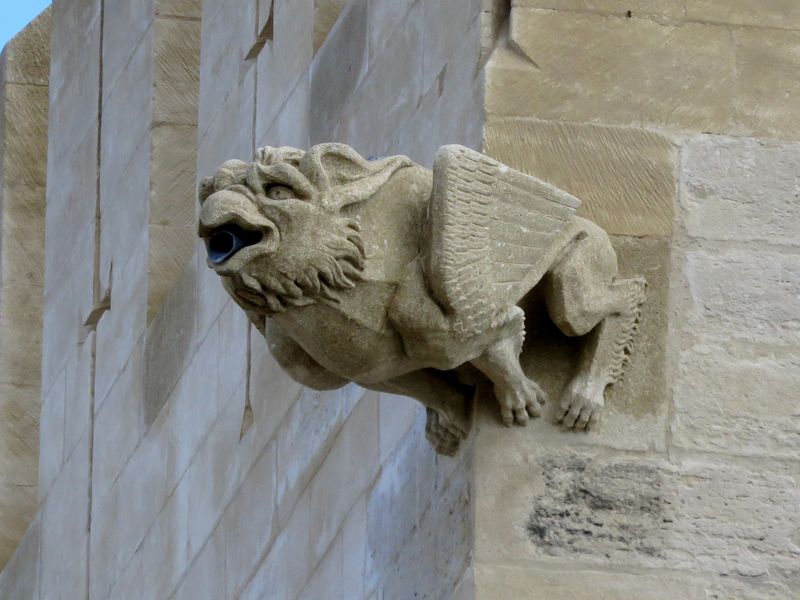 Palaisav 5 