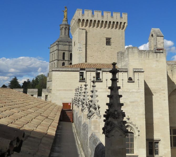Palaisav 8 