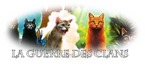 Sauvageonne 52495ad71cef7