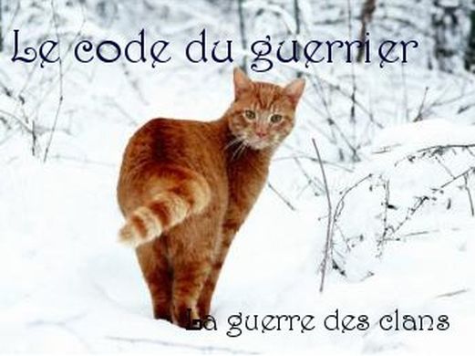 Code du guerrier