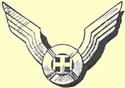 InsigneRaidersSDF