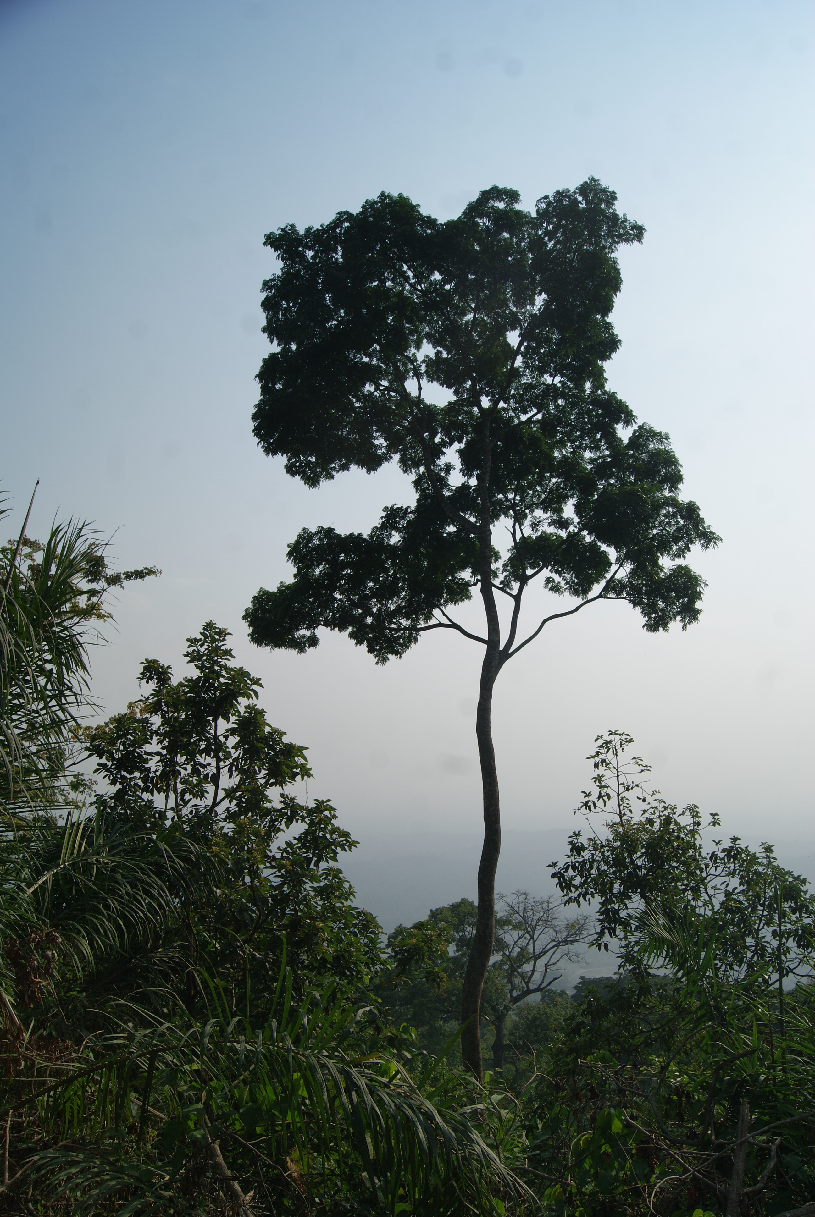 Togo 528 1 27 