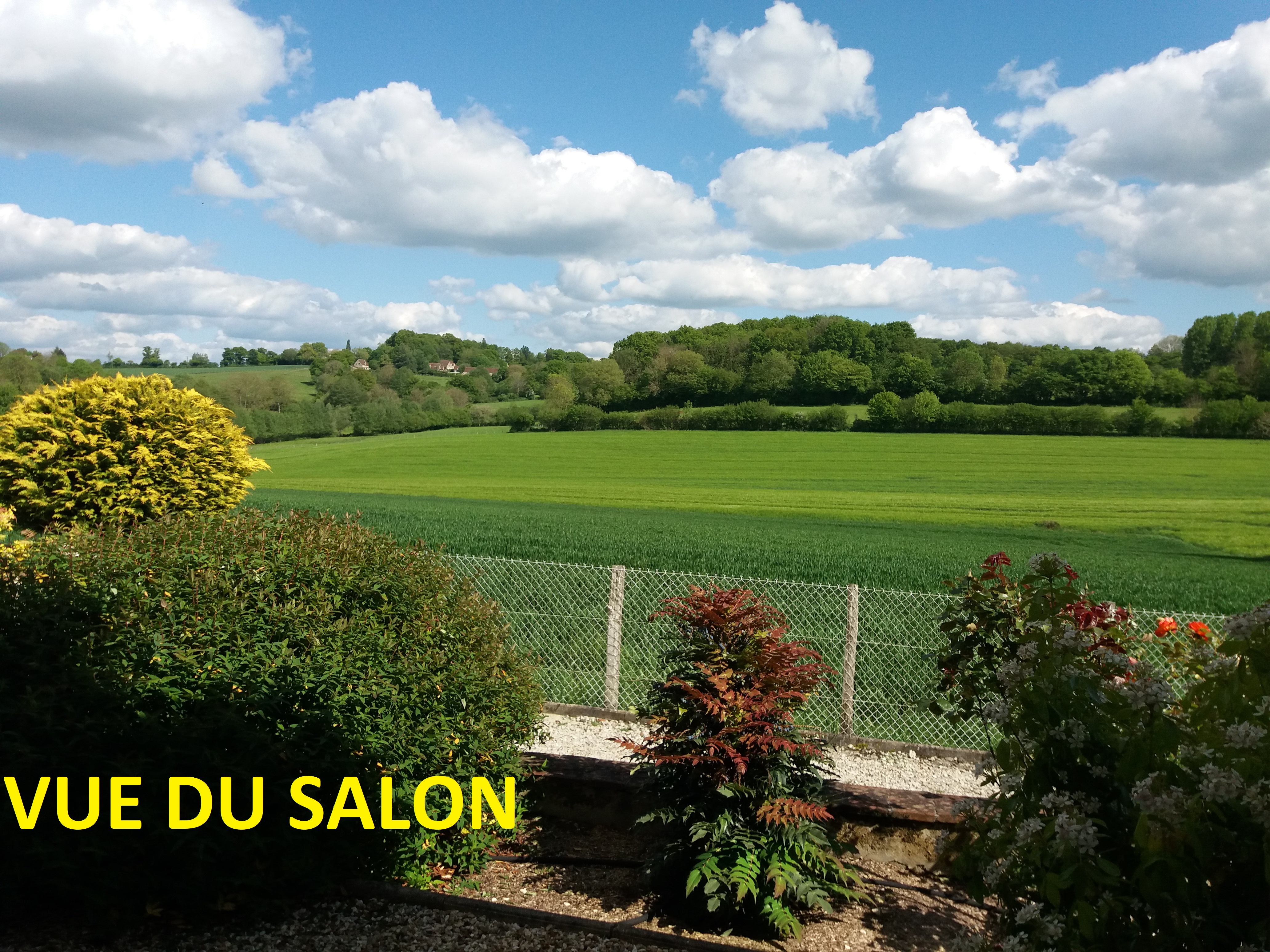 Vue salon