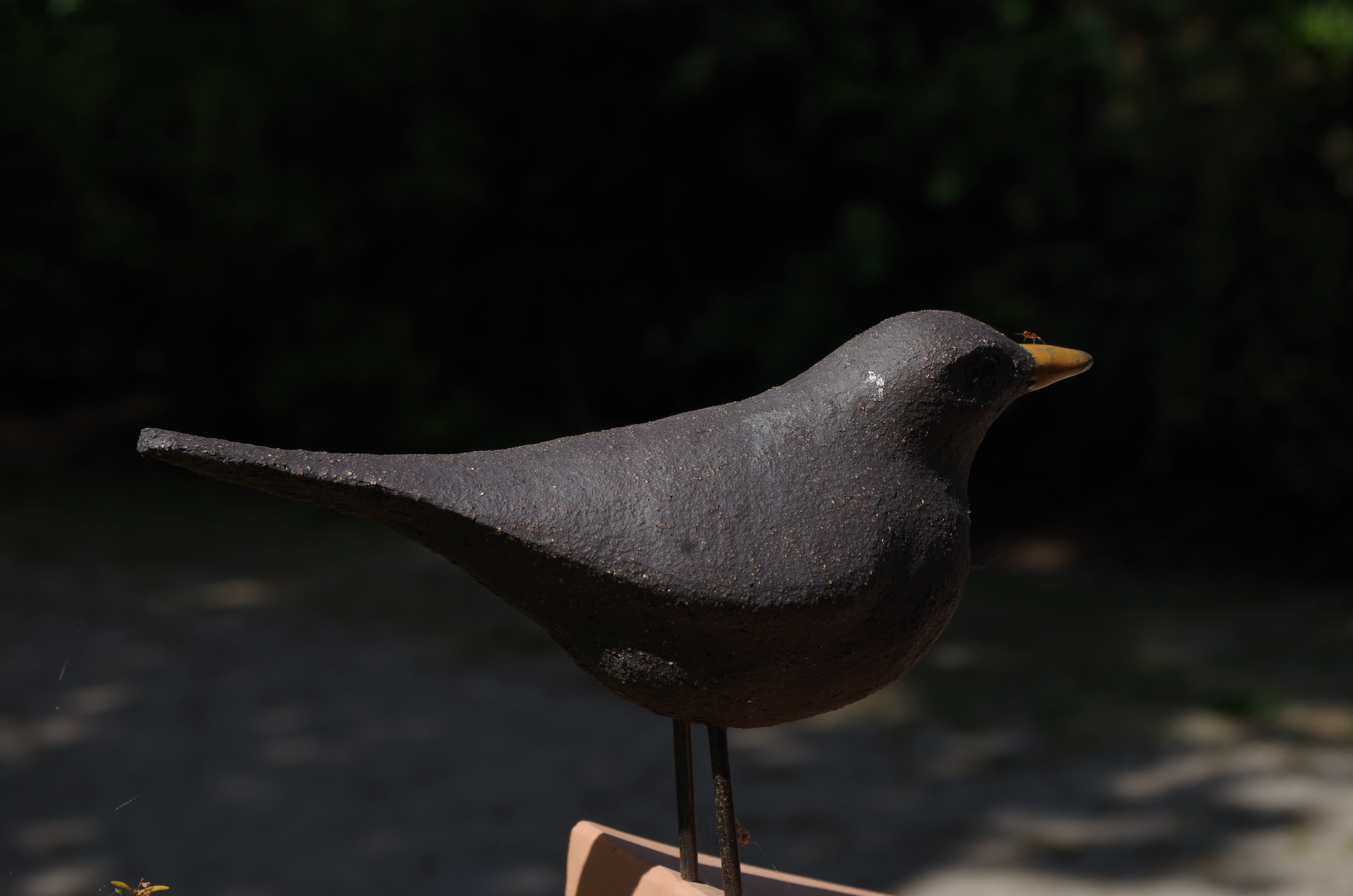 Imgp5946