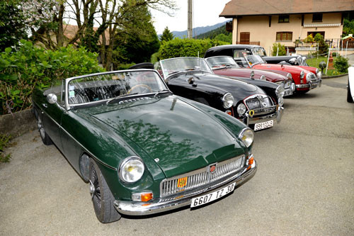 Mg verte