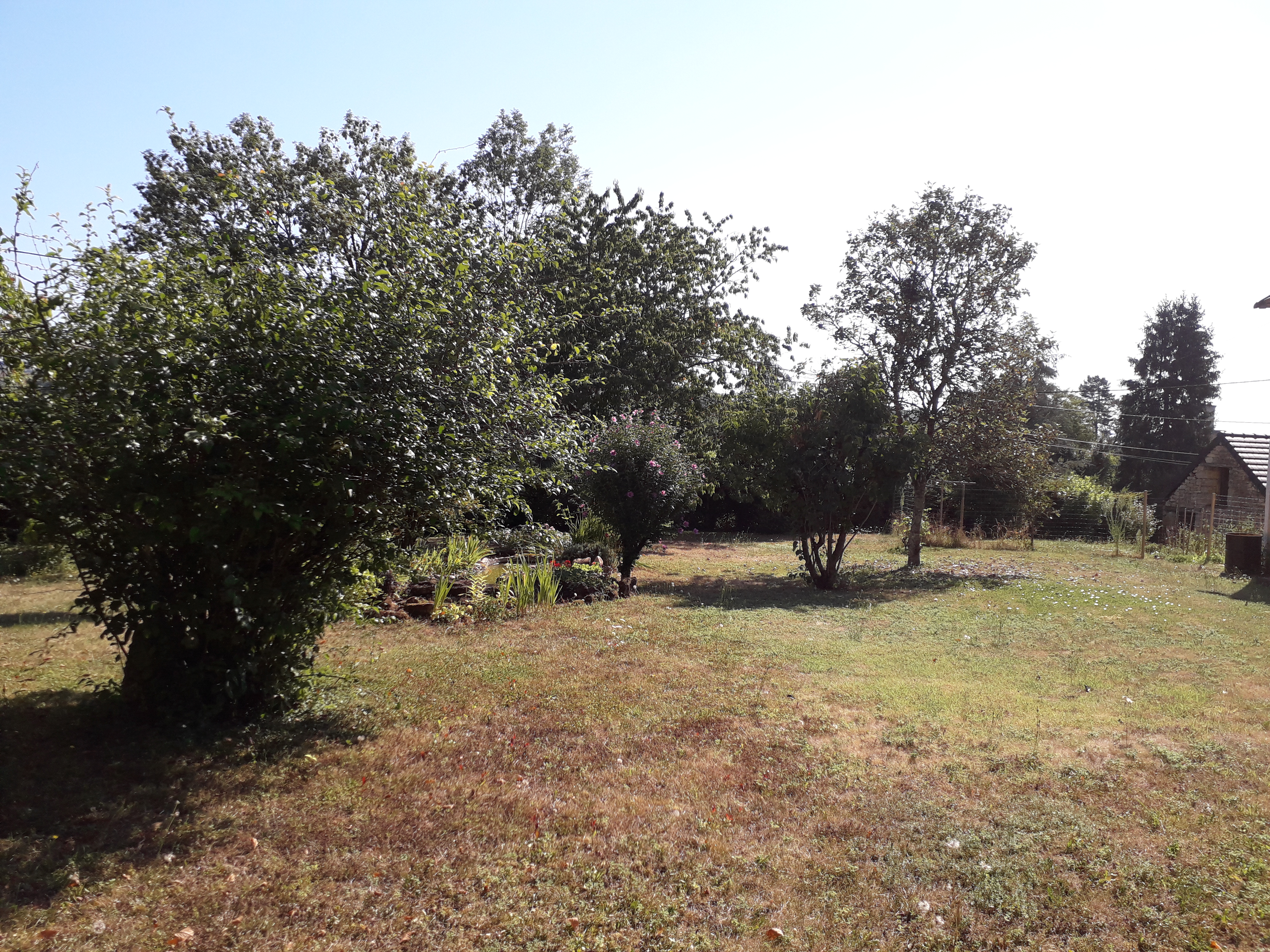 Jardin 3 