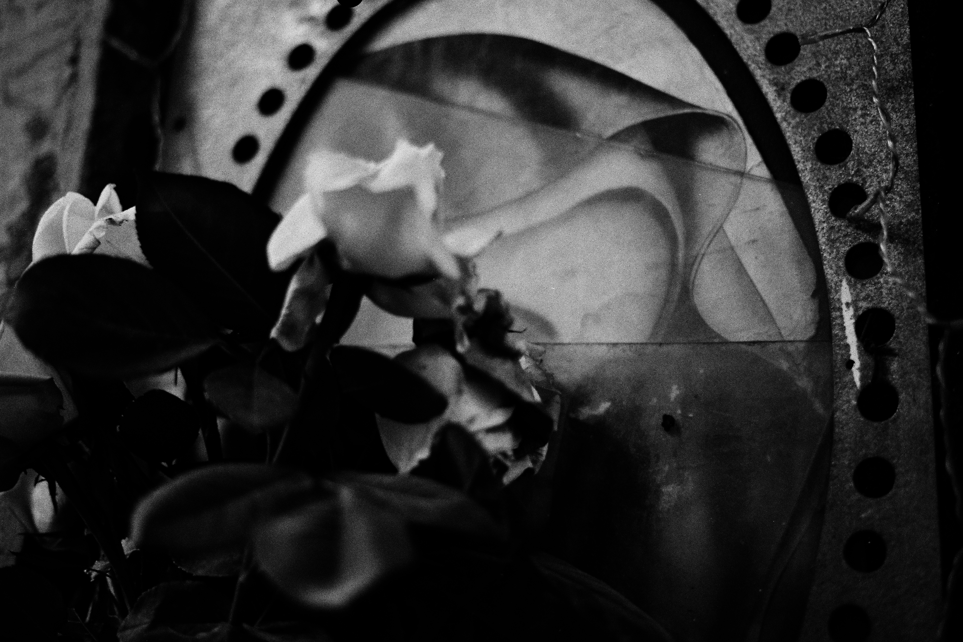 Naples 2012 nature morte