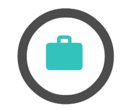 Valise