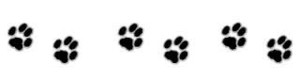 Pate de chat