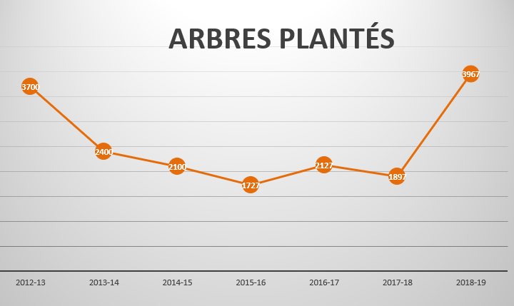 Tendances plantation 2019 