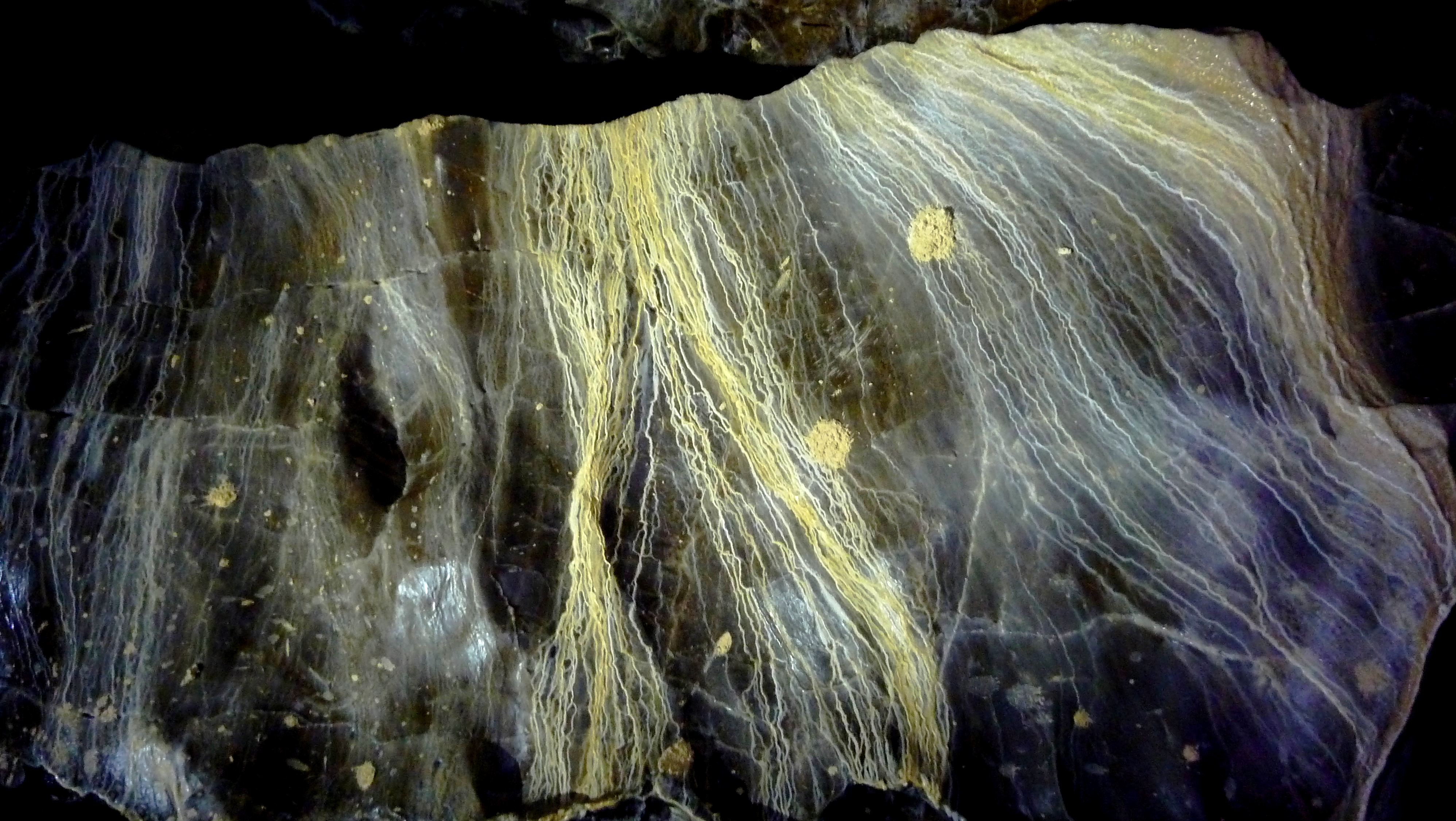 Peinture naturelle et éphémère dans la grotte de Balme (massif du Giffre)