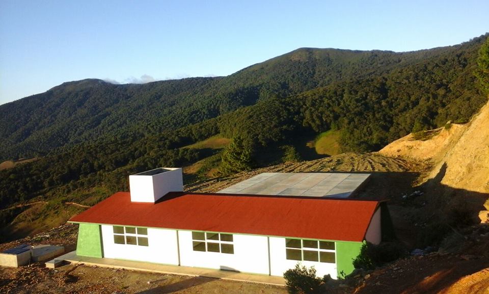 17554178 137568920106406 5859276260233696412 n