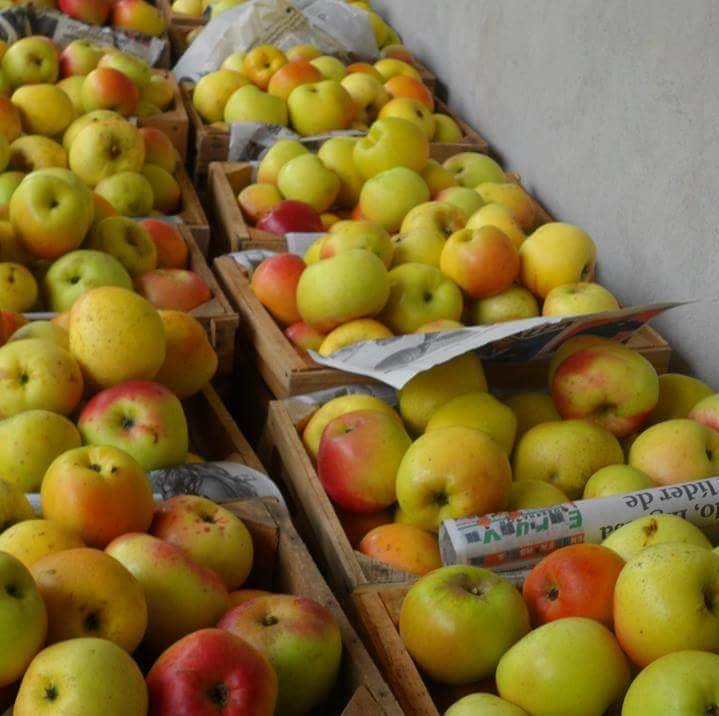 22195597 1900627050256930 5473895295908871192 n