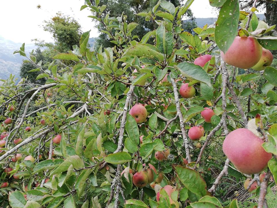 38151832 2127581104228189 660314985120923648 n