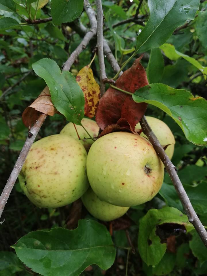 38235130 2127579470895019 2323884620635963392 n