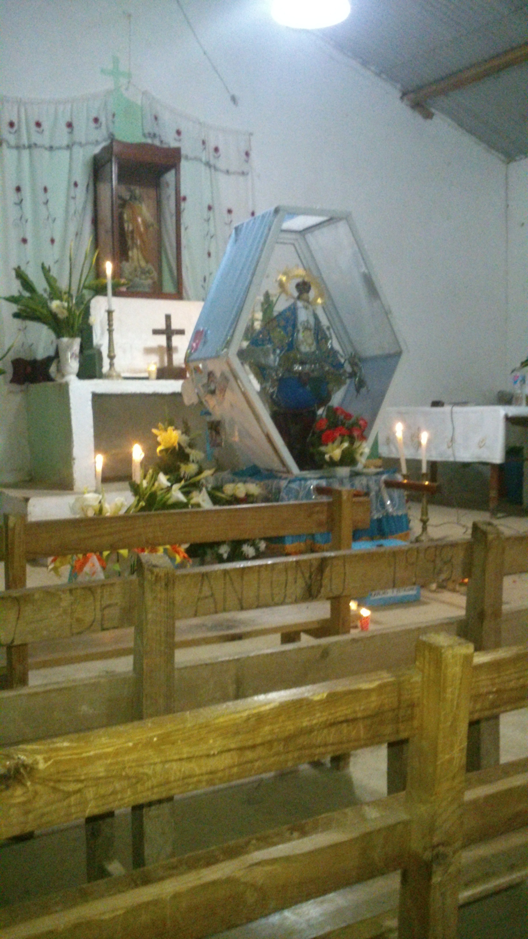 Dsc 0269