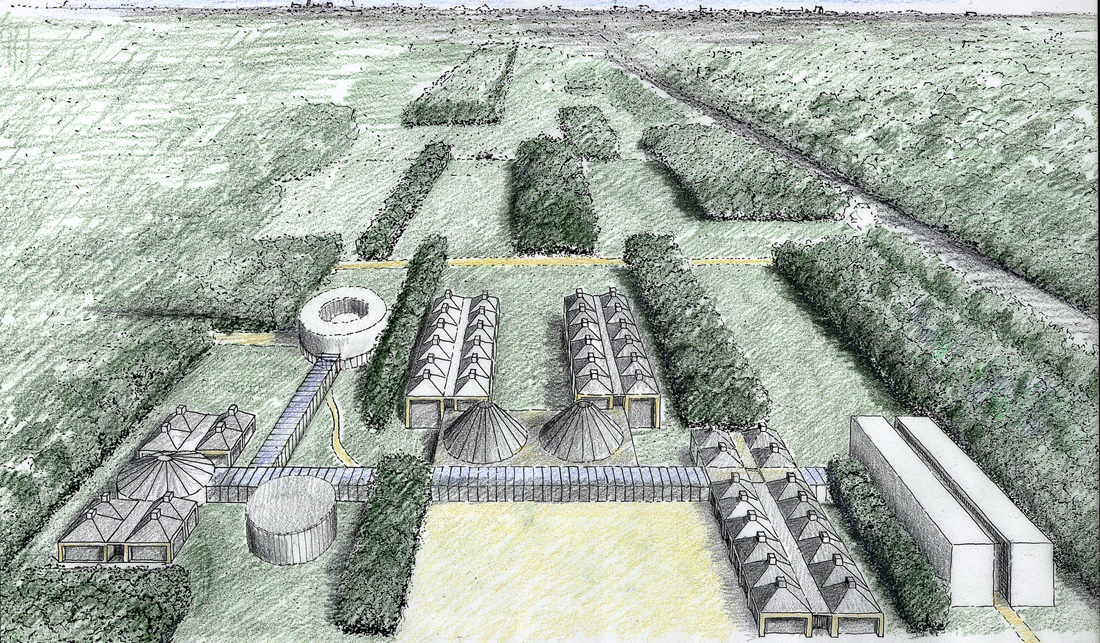 Perspective cavaliere w