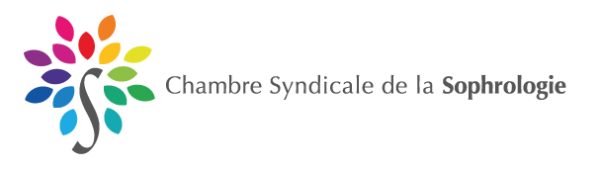 Logo css web horizontal 600x169