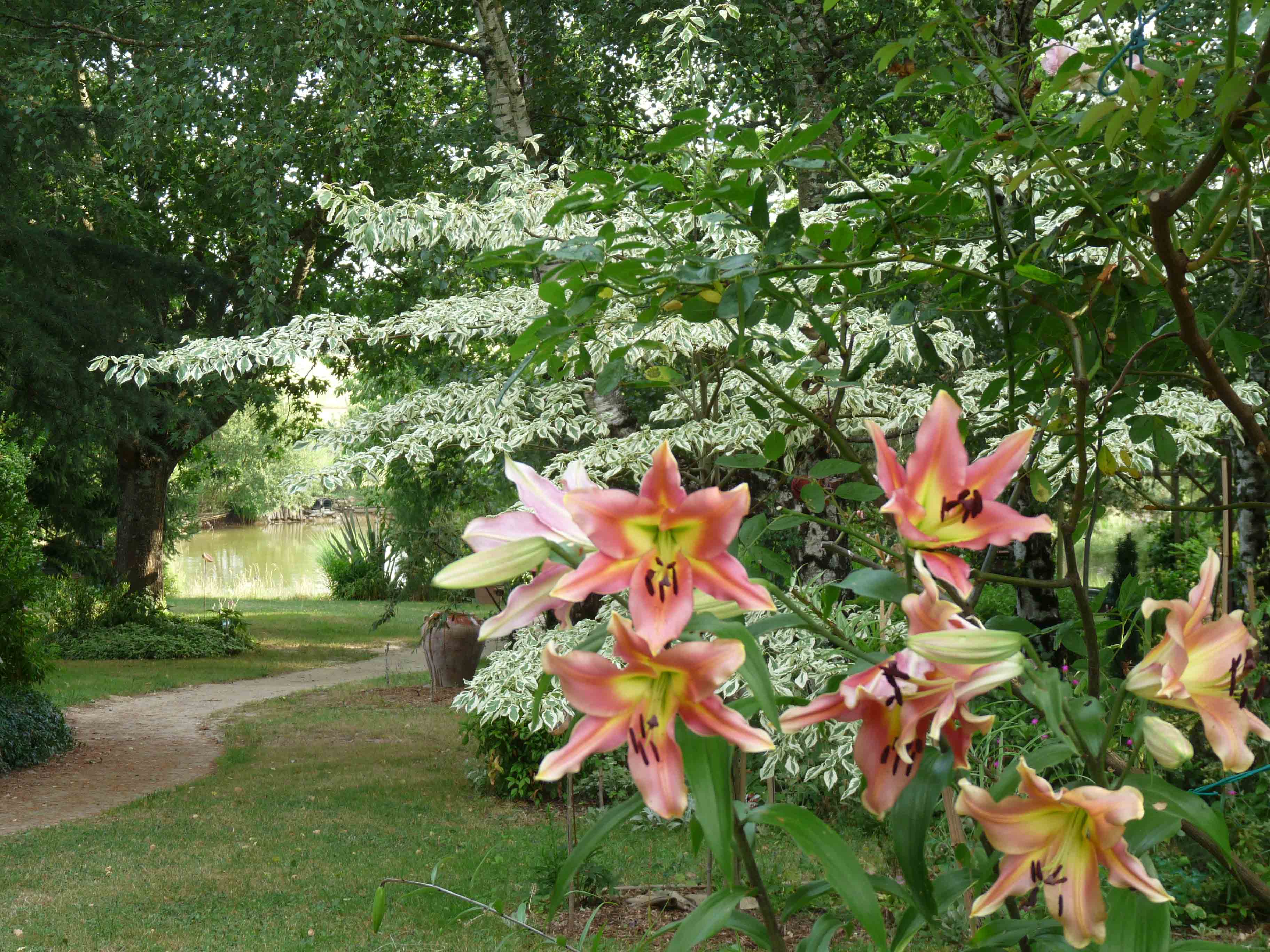 P1490981OK