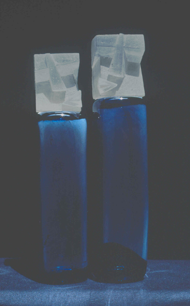 2 vases canope photo a rebours