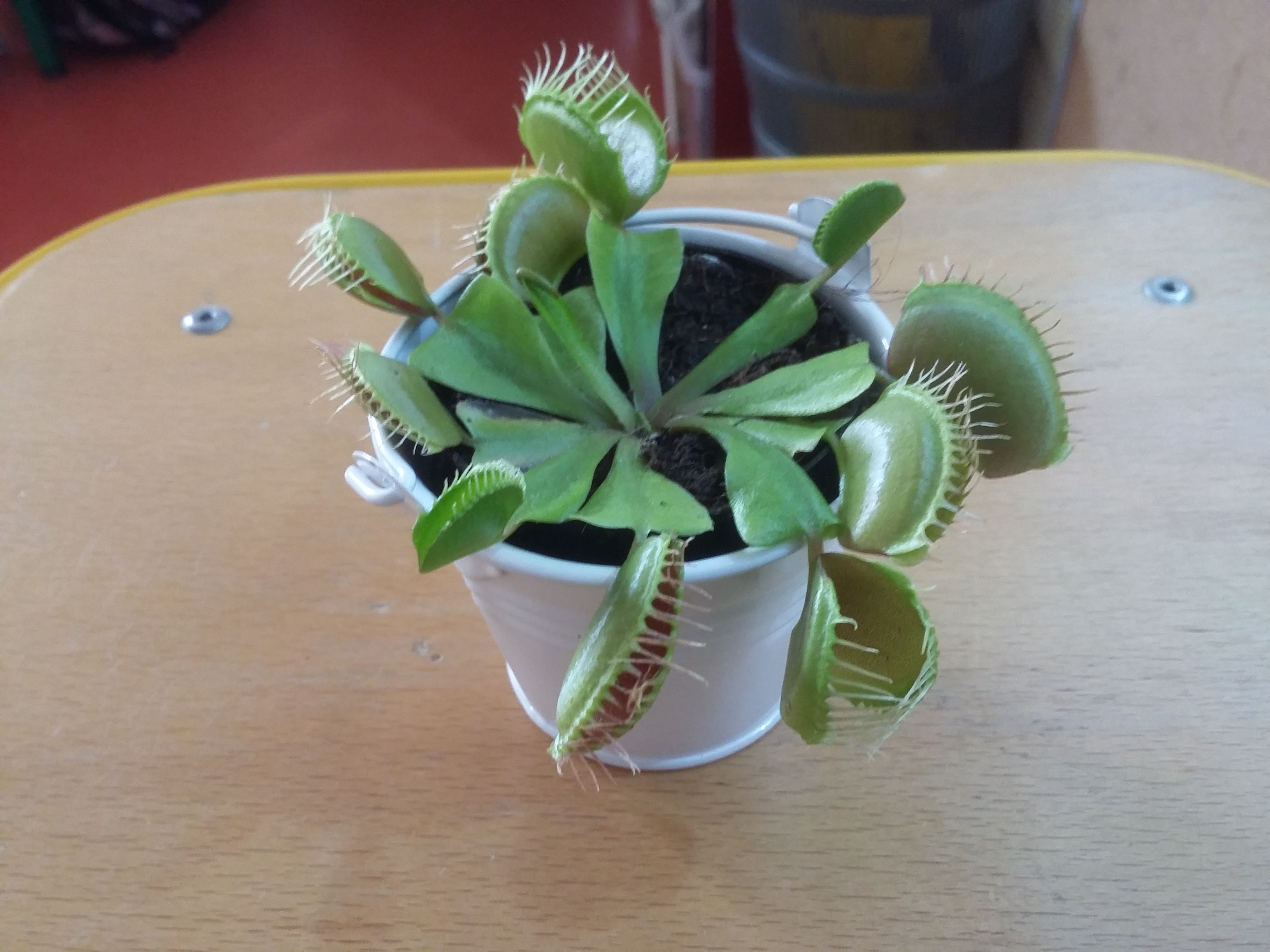 20190604 155331