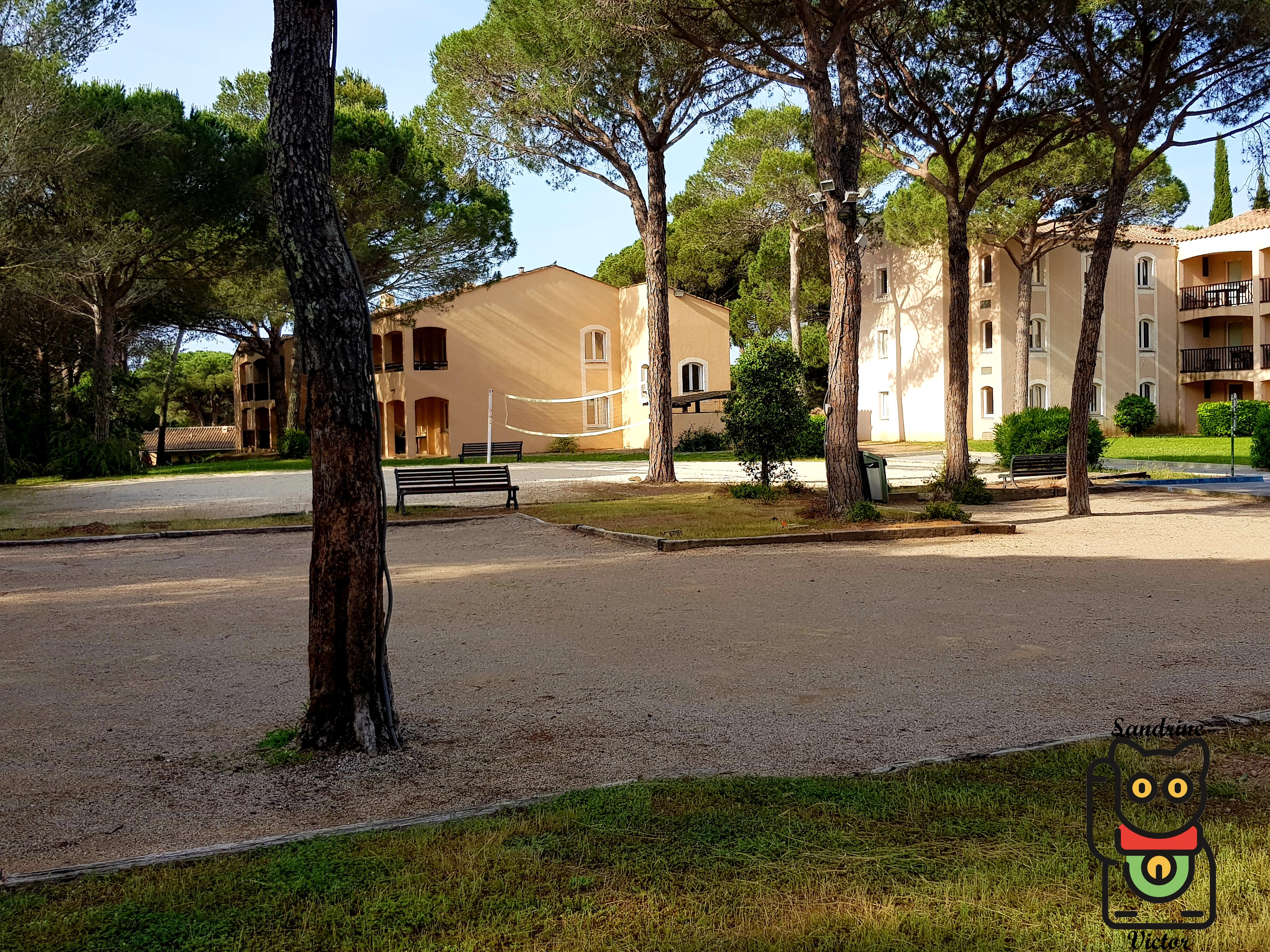 Terrain boule
