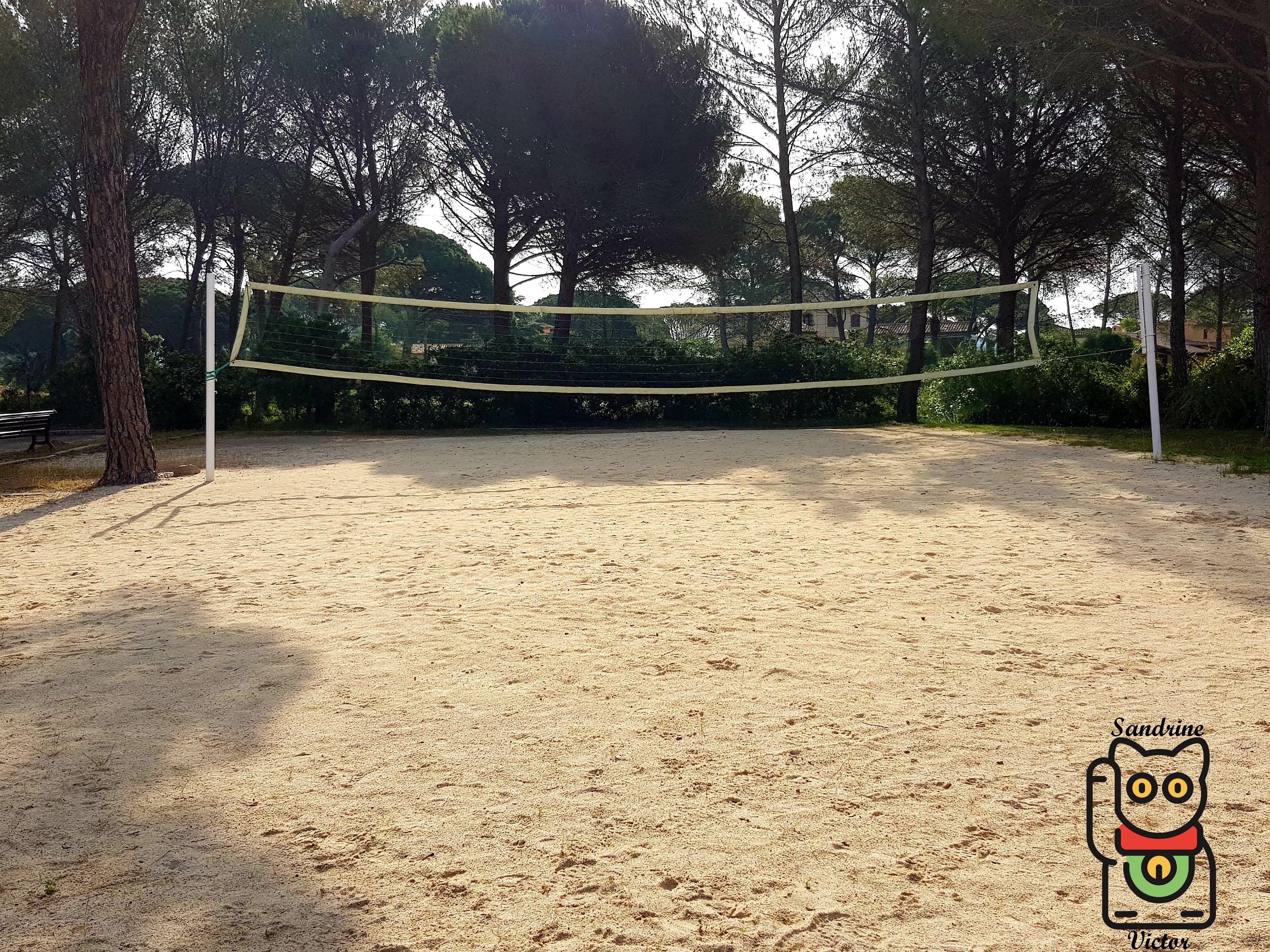 Volley