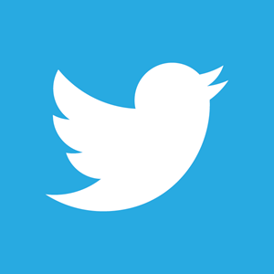 Twitter 2012 negative logo 5C6C1F1521 seeklogo com
