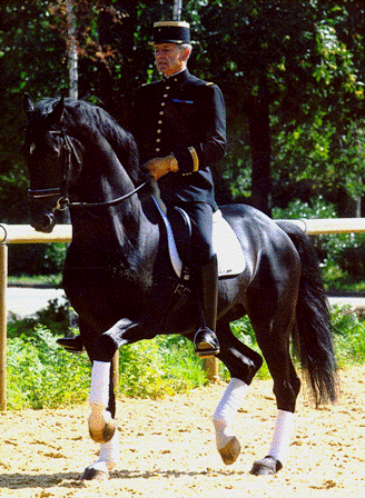 Joeris10