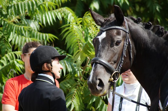 Concours dienne 517