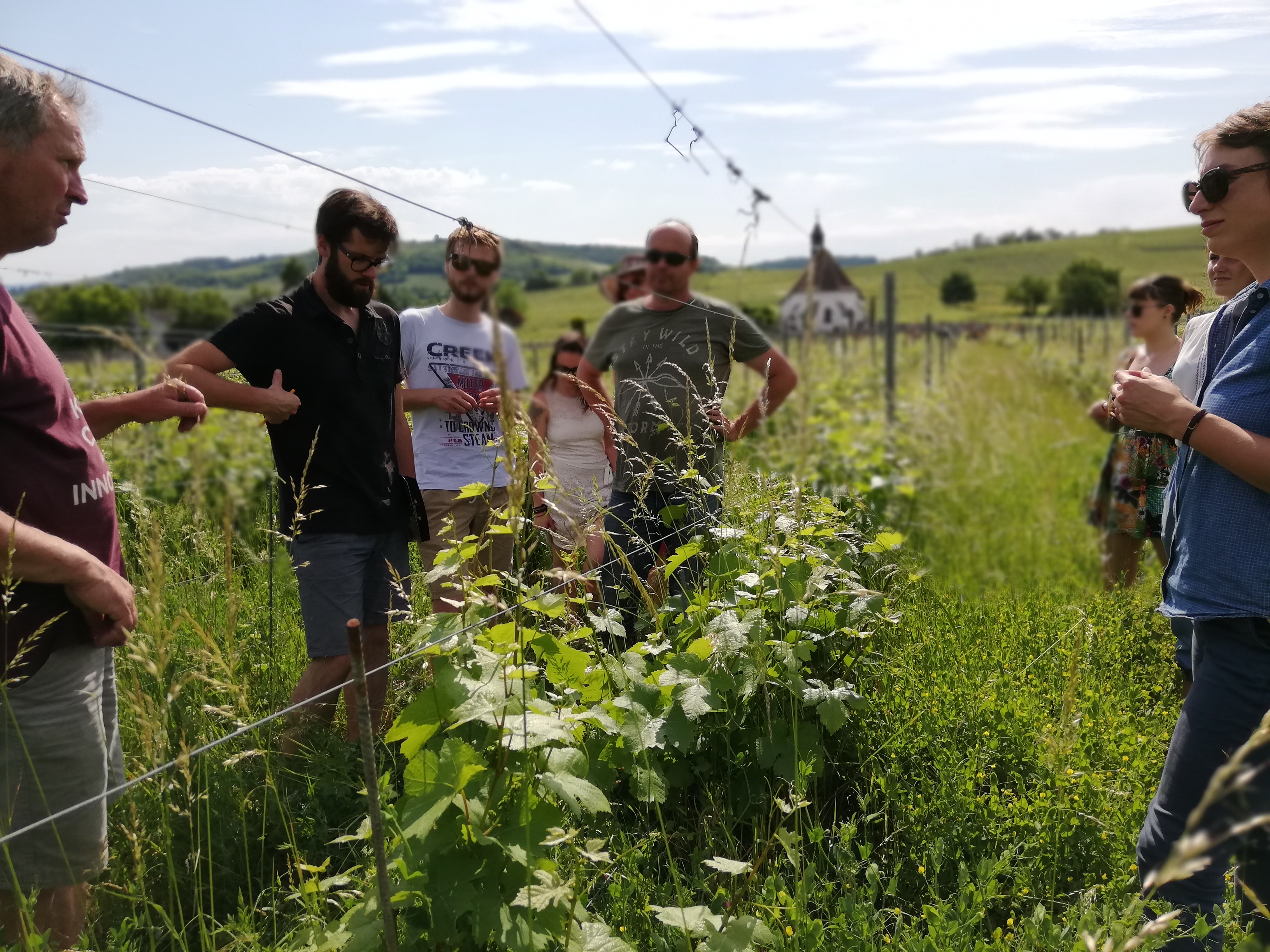 Domaine Lissner 26 