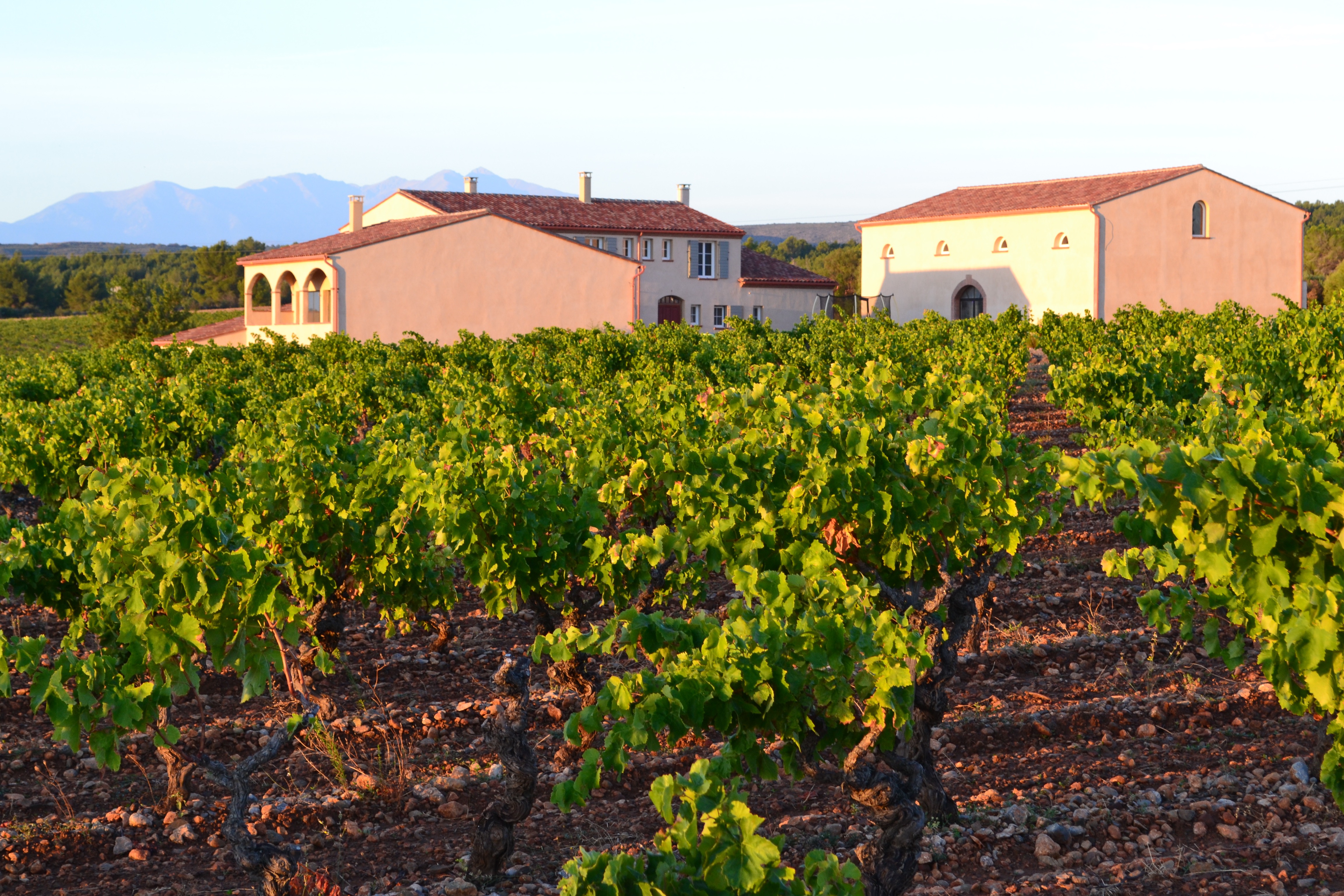 Domaine 1