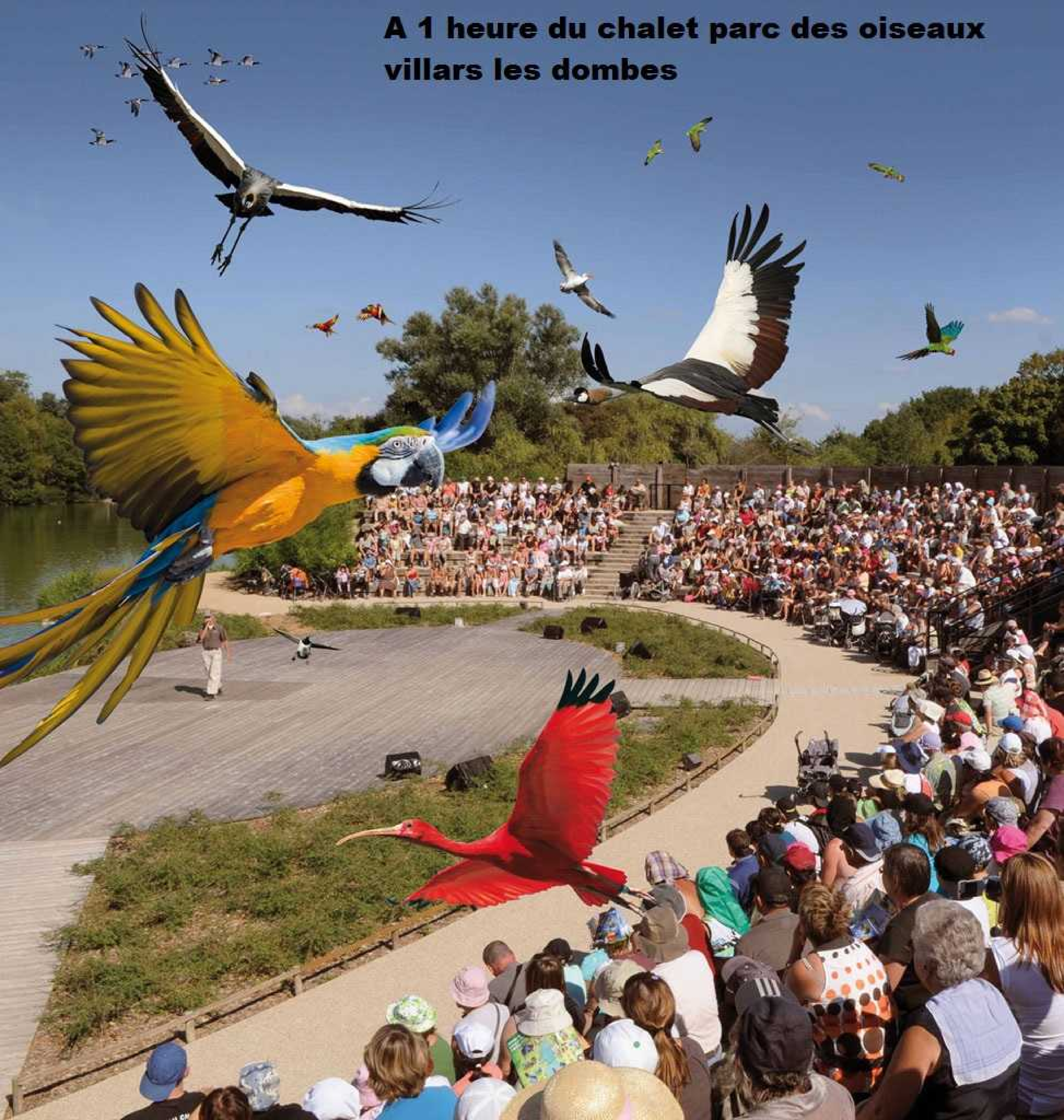 Parc des oiseaux villars les dombes 001