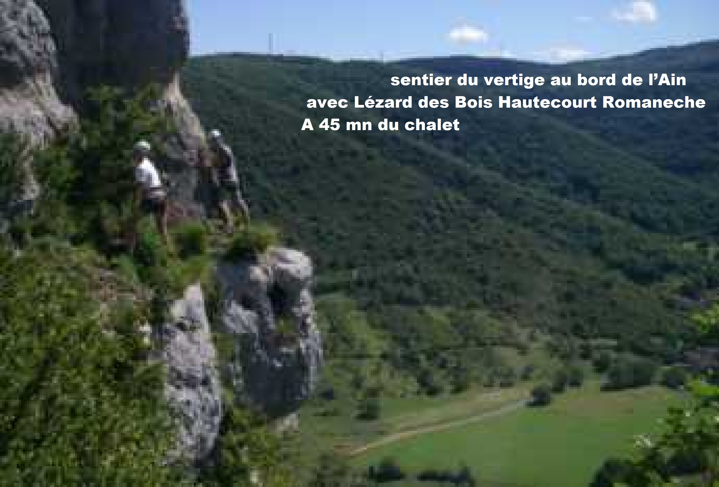 Sentier du vertige au bord de l ain avec lezard des bois hautecourt romaneche 001