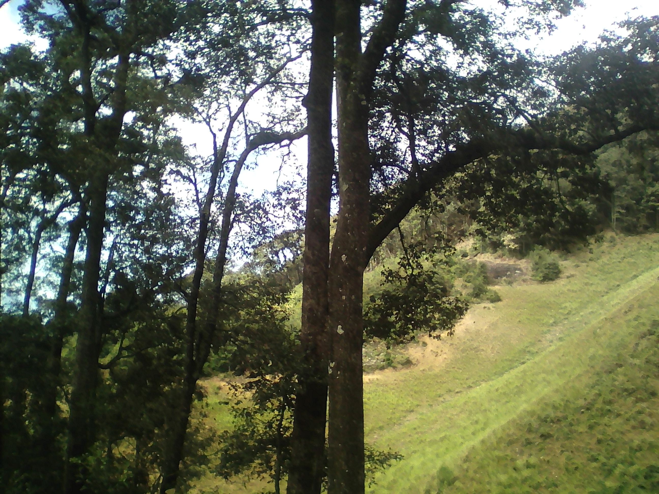 Img 20171103 114036