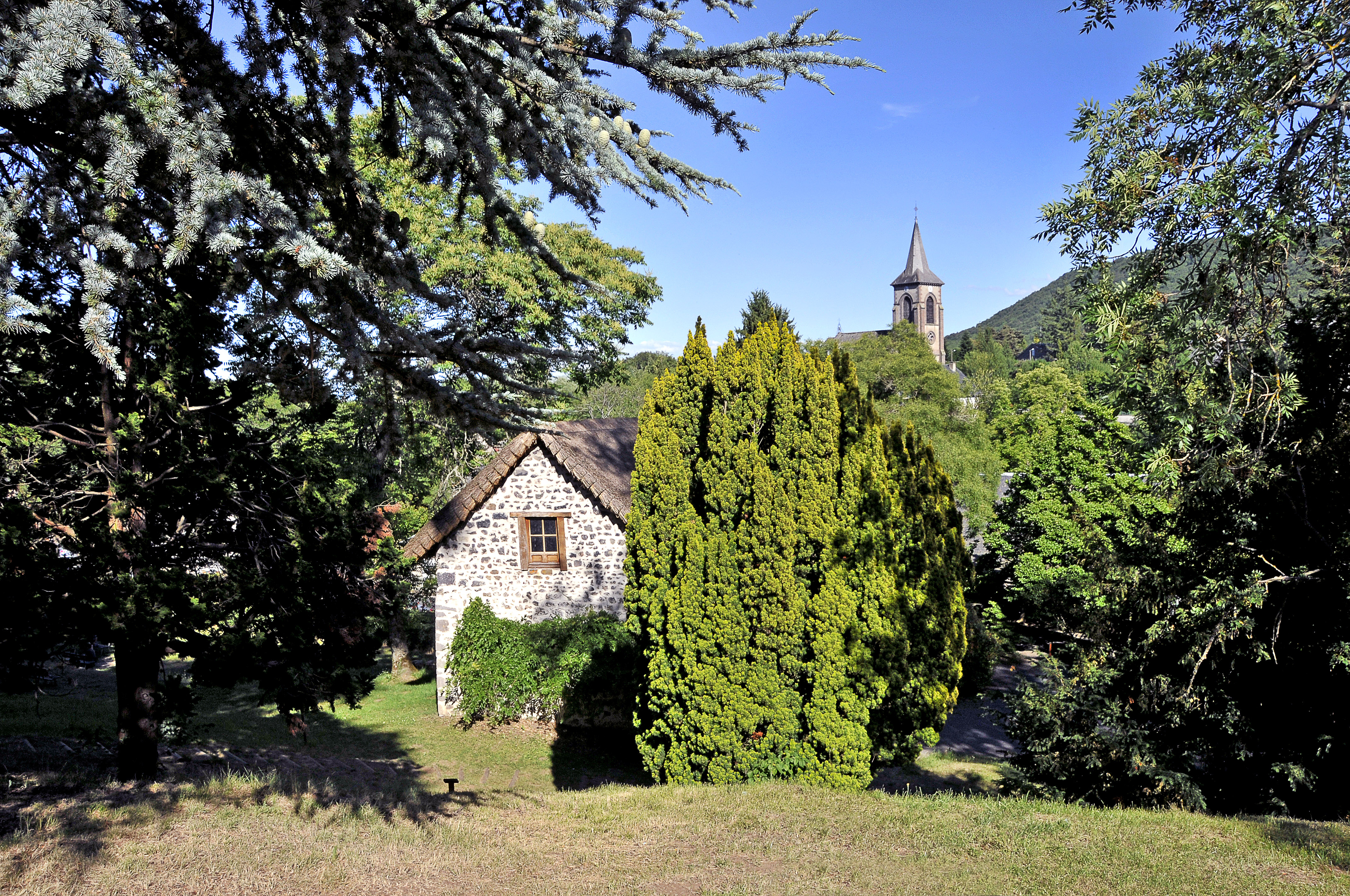 OTSancy 11579