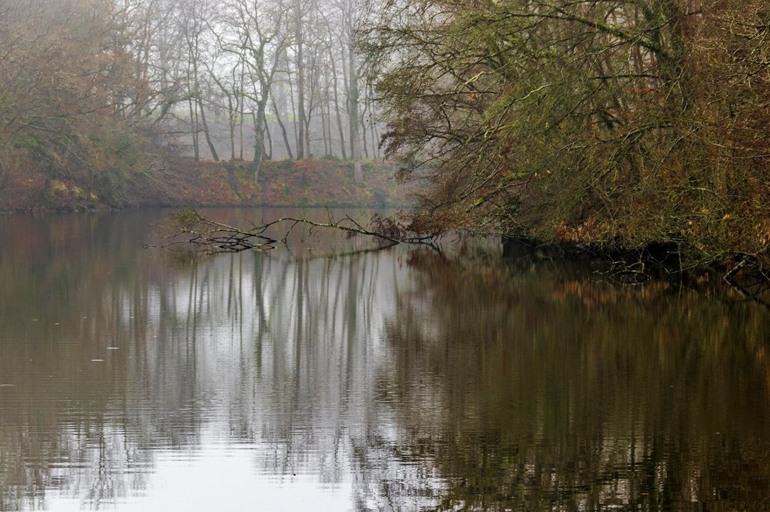 Etang1 1080x719