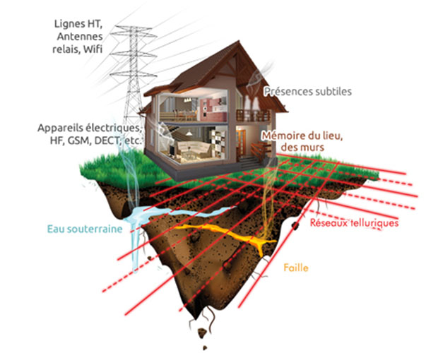 Geobiologie geobiologue niort la rochelle